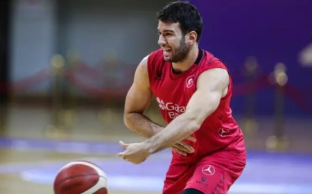 Berk İbrahim Uğurlu: Boğa’nın İstikrarı ve Fare’nin Zekâsı