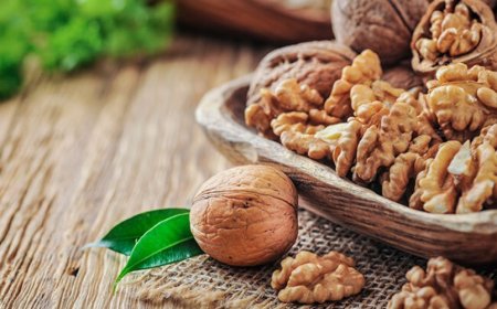 Rüyada Ceviz Görmek Ne Anlama Gelir? Mal, Çatışma ve Kader Sınavları